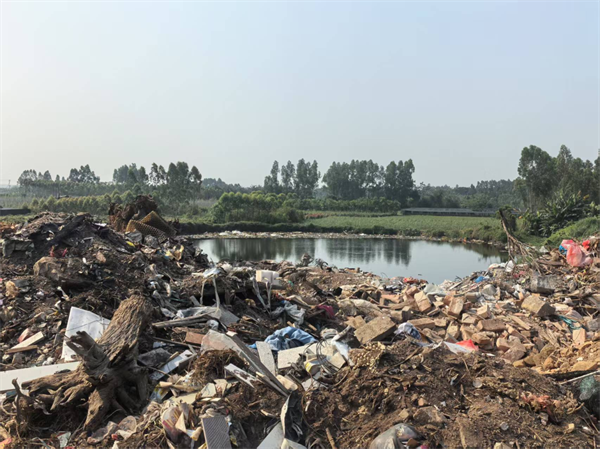 1762743273615579.png DM_20251110104621_007.PNG