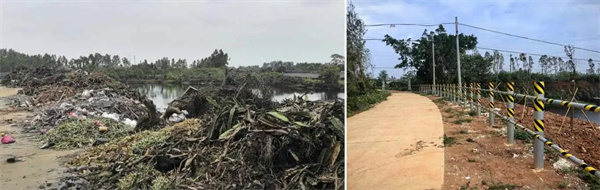 1762743299273828.jpg DM_20251110104621_008.jpg