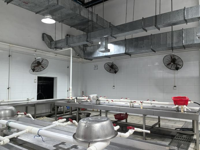 1764732201552745.png 640 (1).png