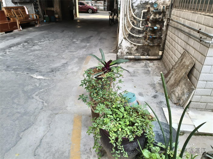 DM_20250411093841_007.png