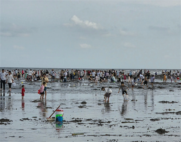 1763108783814295.png DM_20251114161603_002.PNG