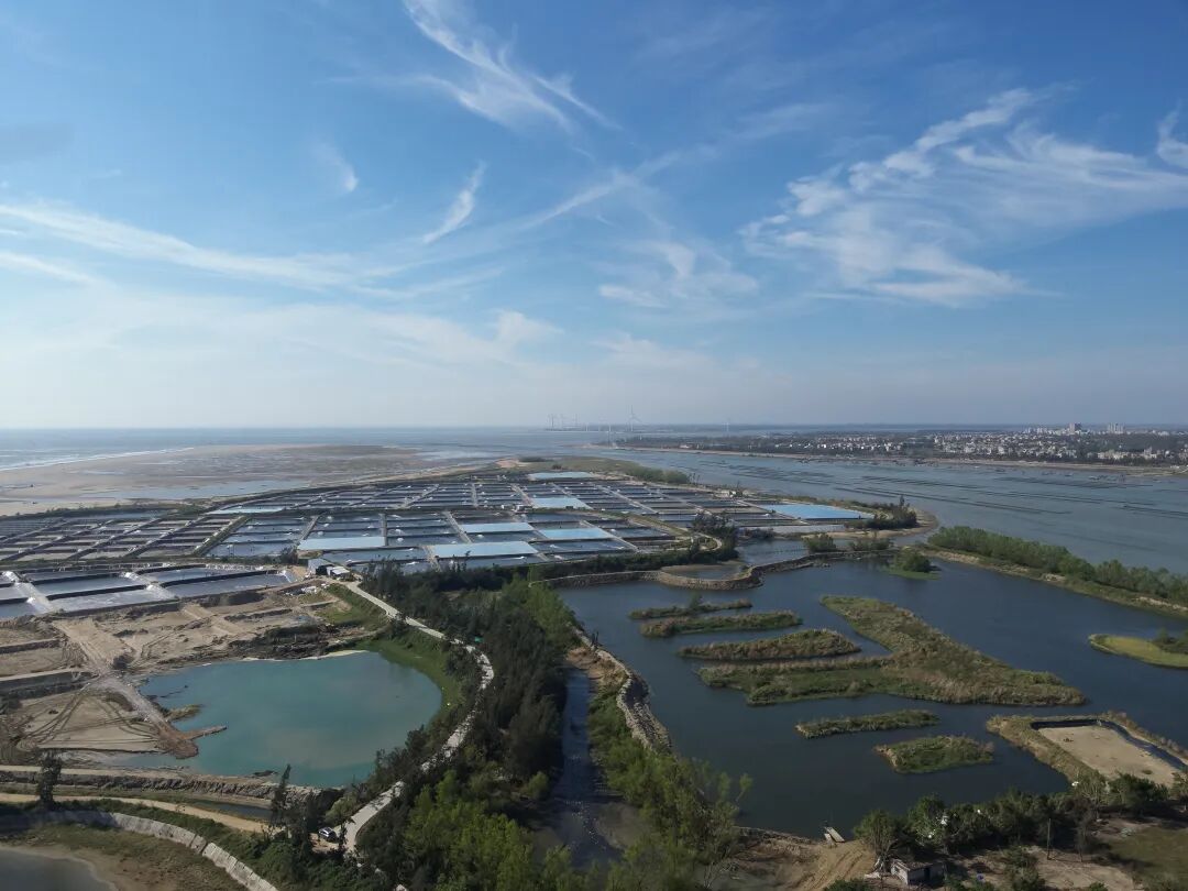 1763109071978553.jpg 1763109071978553.jpg