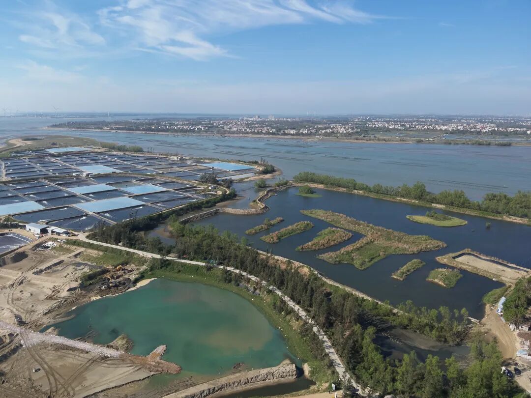 1763109122404971.jpg 1763109122404971.jpg