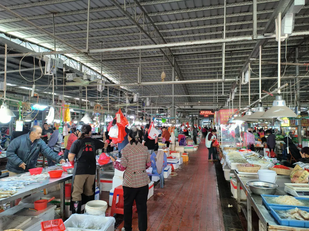 1770018724770920.jpg 1770018724770920.jpg